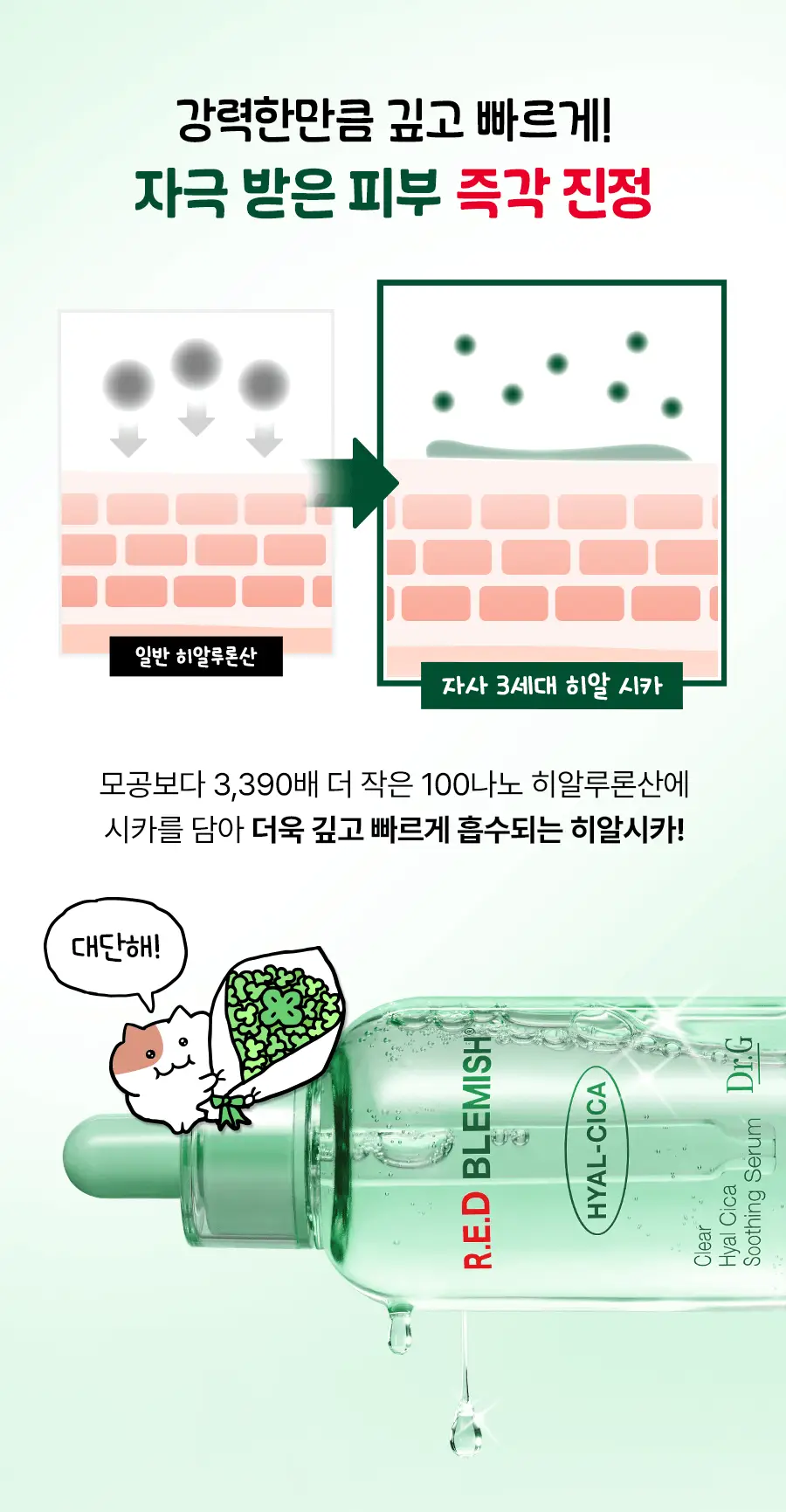 [수분진정/쫀냐미한정] 닥터지 레드 블레미쉬 클리어 히알 시카 수딩 세럼 50ml 1+1 기획(+세안밴드 증정) 상세페이지 12
